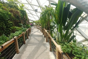 KONYA KELEBEKLER VADİSİ