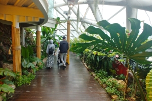 KONYA KELEBEKLER VADİSİ