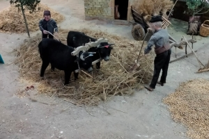 AFADER KONYA İSTİKLAL HARBİ ŞEHİTLİK MÜZESİ ZİYARETİMİZ