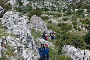 ALINLARINIZDAN ÖPSEK AZDIR