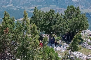 ALINLARINIZDAN ÖPSEK AZDIR