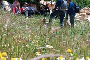 ALINLARINIZDAN ÖPSEK AZDIR