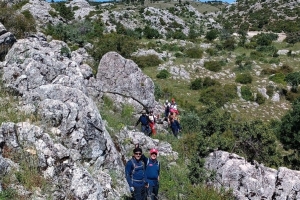 ALINLARINIZDAN ÖPSEK AZDIR