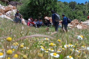 ALINLARINIZDAN ÖPSEK AZDIR