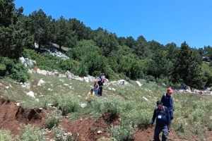 ALINLARINIZDAN ÖPSEK AZDIR