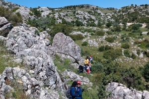 ALINLARINIZDAN ÖPSEK AZDIR