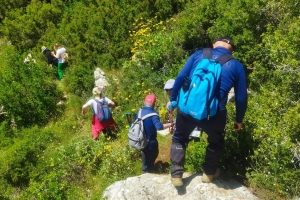 ALINLARINIZDAN ÖPSEK AZDIR