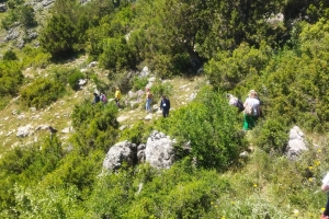 ALINLARINIZDAN ÖPSEK AZDIR