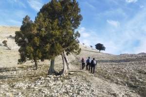 SİVRİ TEPE ETKİNLİĞİMİZ