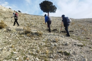 SİVRİ TEPE ETKİNLİĞİMİZ