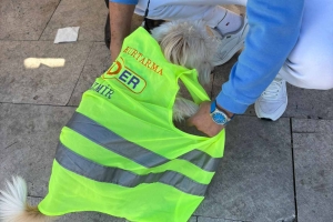 AFADER İZMİR ŞUBE BAŞKANLIĞI GAZİEMİR'DE STAND AÇARAK TANITIM YAPTI