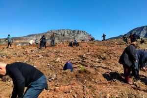 GELECEĞE NEFES OLDUK