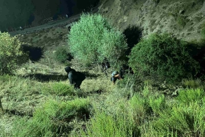 AFADER BAĞIMSIZLIĞA GİDEN YOLDA 102 YILDA KOCATEPE'DE