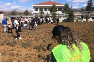 AFADER YALVAÇ FİDE VE FİDAN DİKİMİNDE