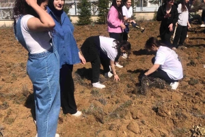 AFADER YALVAÇ FİDE VE FİDAN DİKİMİNDE