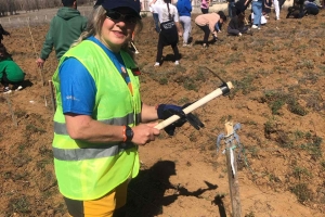 AFADER YALVAÇ FİDE VE FİDAN DİKİMİNDE