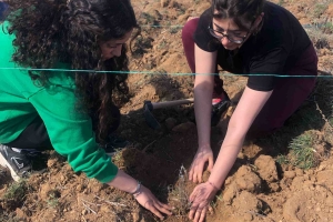 AFADER YALVAÇ FİDE VE FİDAN DİKİMİNDE