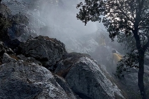 YANAN ORMANLARIMIZA DİKİM YAPMAYA DAVET EDİYORUZ