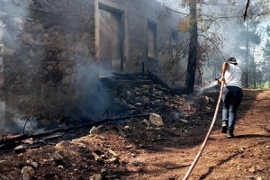 YANAN ORMANLARIMIZA DİKİM YAPMAYA DAVET EDİYORUZ