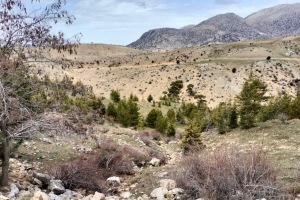 AFADER YENİ PARKUR HAZIRLADI