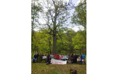 KASNAK MEŞE ORMANI EĞİTİM AMAÇLI ETKİNLİK