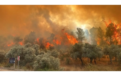 10 ORMAN İŞÇİSİ YANARAK CAN VERDİ 