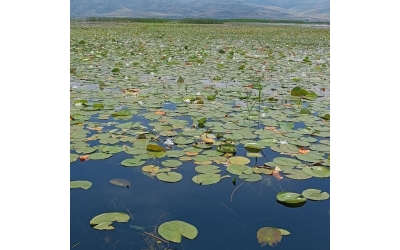 ÇİVRİL  IŞIKLI GÖL  şelale