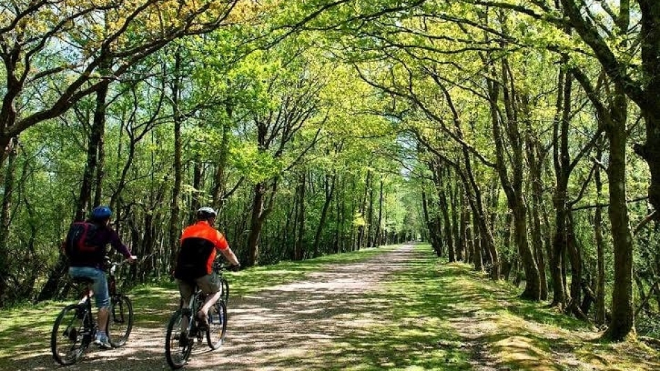 AĞACIN, İNSAN YAŞAMINDAKİ ÖNEMİ