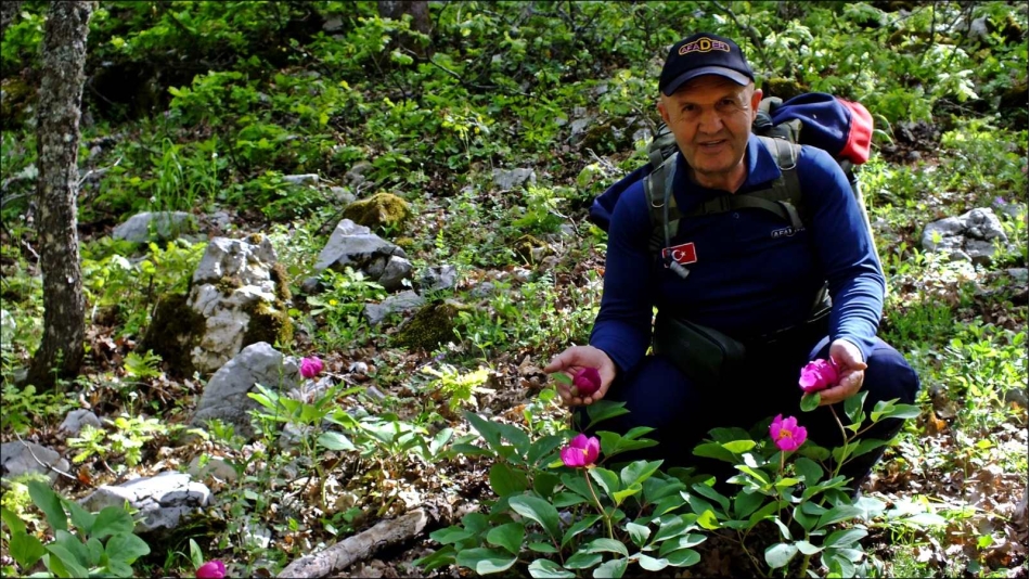 GENEL BAŞKAN ORMAN HAFTASI MESAJI YAYINLADI