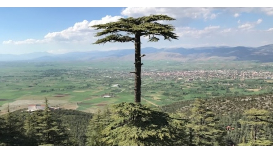 BİZİMLE OKSİJEN SOLUMAYA VARMISINIZ