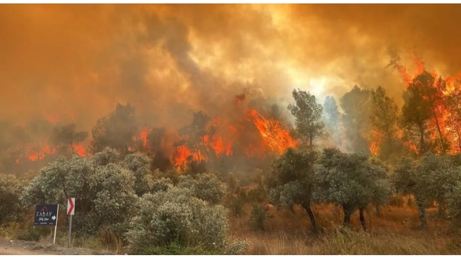 10 ORMAN İŞÇİSİ YANARAK CAN VERDİ 