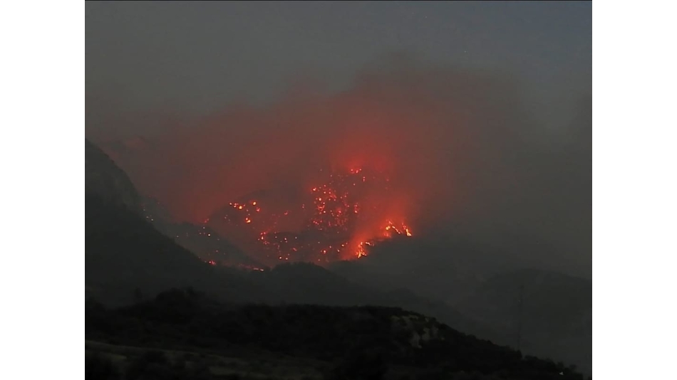 YANAN ORMANLARIMIZA DİKİM YAPMAYA DAVET EDİYORUZ