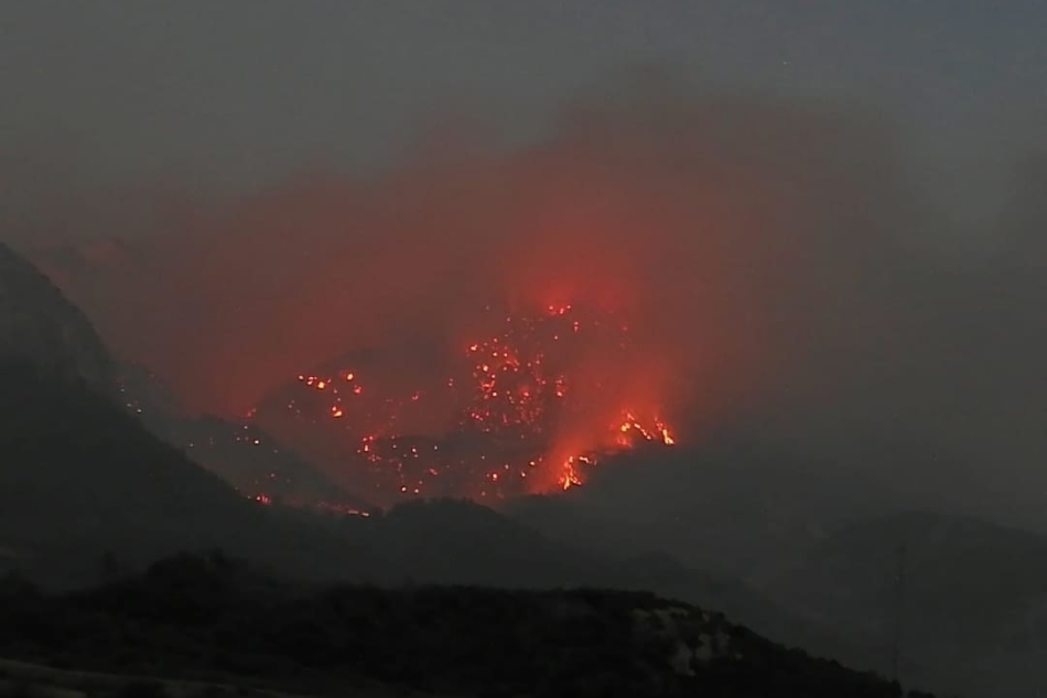 21 MART'TA YANAN ORMANLARIMIZA FİDAN DİKİMİNE BEKLİYORUZ.