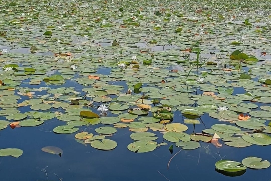 ÇİVRİL  IŞIKLI GÖL  TEKNE TURU